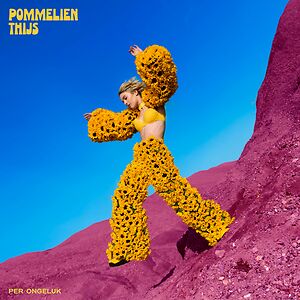 Per Ongeluk by Pommelien Thijs