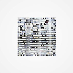 Babel by Zonderwerk
