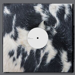 Dismantled Into Juice by Blawan