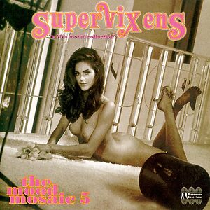The Mood Mosaic Vol. 5  "Supervixens" by Various