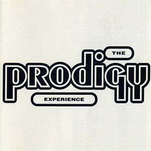 Experience by The Prodigy