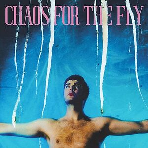Chaos For The Fly - Black Vinyl by Grian Chatten