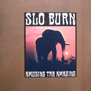 Amusing The Amazing by Slo Burn