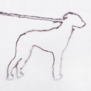 Portrait Of A Dog by Jonah Yano