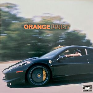 Orange Print by Larry June