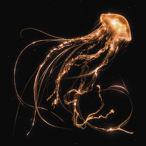 Back To The Water Below - Clear Vinyl by Royal Blood 