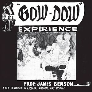 The Gow-Dow Experience by Prof. James Benson