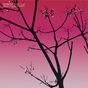 Phanerothyme by Motorpsycho