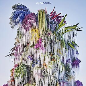 Cousin by Wilco