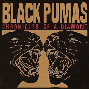 Chronicles Of A Diamond - Transparent Red Vinyl by Black Pumas