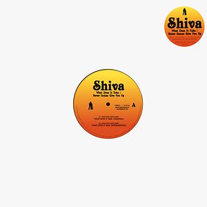 What Does It Take / Never Gonna Give You Up by Shiva