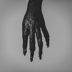 IV - Black Vinyl by Briqueville