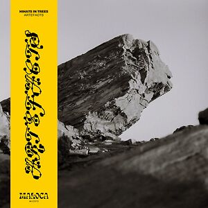 Artefacts by Hihats In Trees
