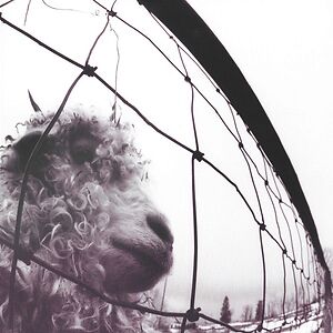Vs. - 30th Anniversary Edition by Pearl Jam
