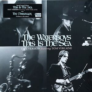 This Is The Sea by The Waterboys