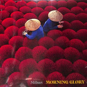 Morning Glory by Millsart