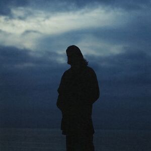 Oevers - Hyacinth Coloured Vinyl by Willem Ardui