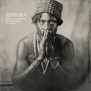 Perceive it's beauty, Acknowledge its Grace by Shabaka