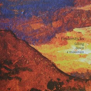Falling Down A Mountain by Tindersticks