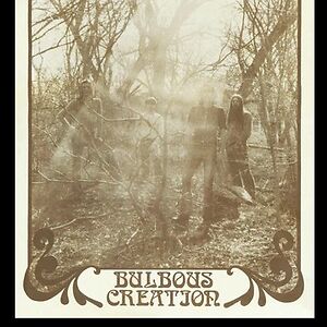You Won't Remember Dying by Bulbous Creation