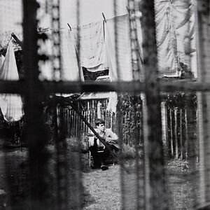 Chaos And Creation In The Backyard by Paul McCartney