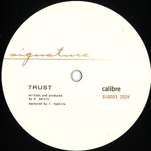 Trust / Waiting by Calibre