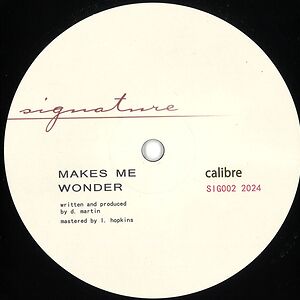 Makes Me Wonder / Got To Have You by Calibre