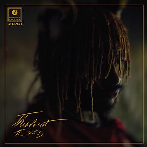 It Is What It Is - Deluxe Gatefold Edition by Thundercat