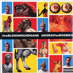 Hooray For Boobies by Bloodhound Gang