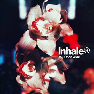 Open Wide - Black Vinyl by Inhaler 