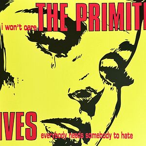 I Won't Care / Everybody Needs Somebody To Hate by The Primitives