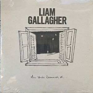 All You're Dreaming Of... by Liam Gallagher