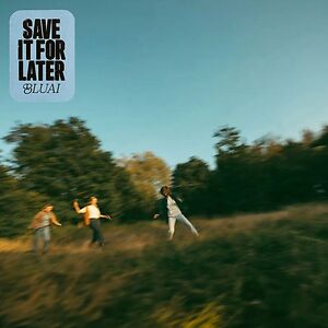 Save It For Later by Bluai