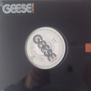 Low Era by Geese