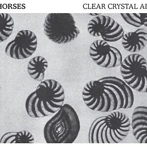Clear Crystal Air by Horses
