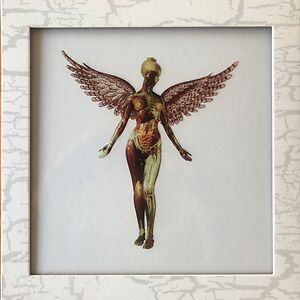 In Utero - 30th Anniversary Super Deluxe Edition by Nirvana