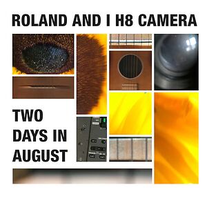 Two Days In August by Roland Van Campenhout