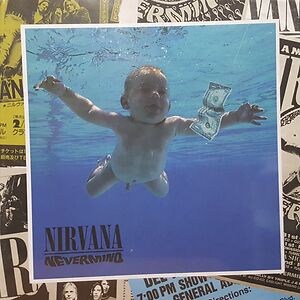 Nevermind - 30th Anniversary - CD Box by Nirvana