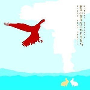 Enjoy Your Rabbit by Sufjan Stevens