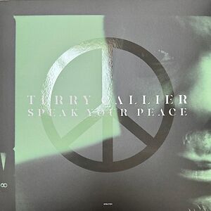 Speak Your Peace by Terry Callier