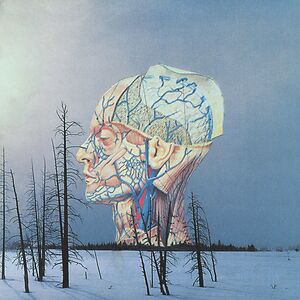 Songs For A Dead Pilot by Low