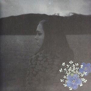 Evergreen by Soccer Mommy