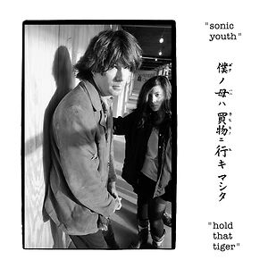 Hold That Tiger by Sonic Youth
