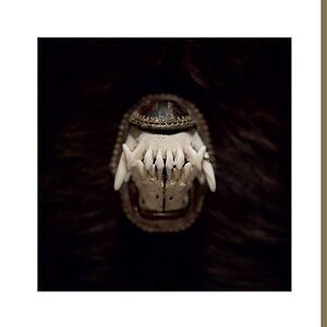De Toorn - Copper Nugget Edition by Amenra