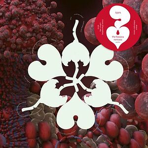 The Fossora Remixes by Bj
