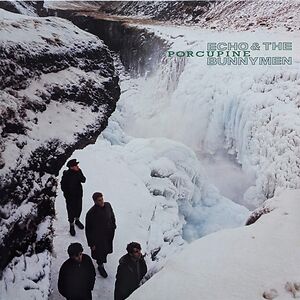 Porcupine by Echo & The Bunnymen