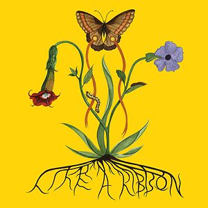 Like A Ribbon by John Glacier
