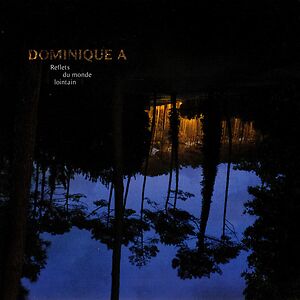 Reflets Du Monde Lointain by Dominique A.