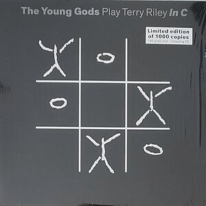 The Young Gods Play Terry Riley In C by The Young Gods