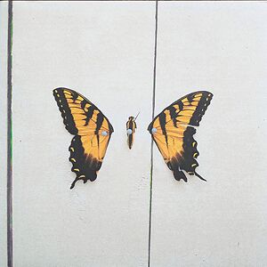 Brand New Eyes by Paramore